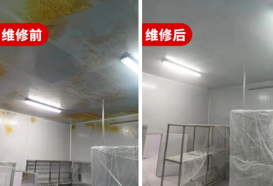 无尘车间彩钢板修复方式，全面解析与实用技巧_洁净区彩钢板修复